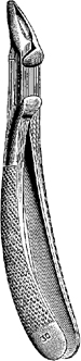 Tooth Extracting Forceps