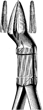 Tooth Extracting Forceps