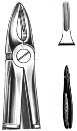 Tooth Extracting Forceps