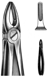 Tooth Extracting Forceps