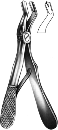 Tooth Extracting Forceps Childrens