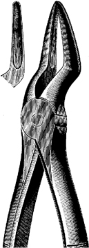 Tooth Extracting Forceps