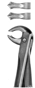 Tooth Extracting Forceps Childrens