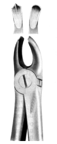 Tooth Extracting Forceps Childrens
