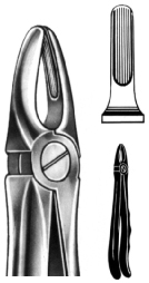 Tooth Extracting Forceps