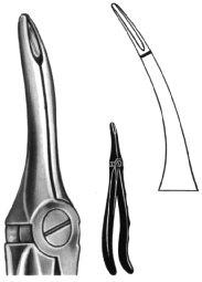 Tooth Extracting Forceps