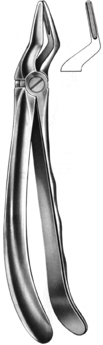 Tooth Extracting Forceps English Adult