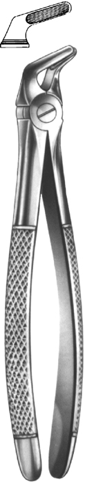Tooth Extracting Forceps English Pattern