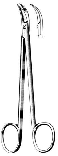 Dental Gum Scissors