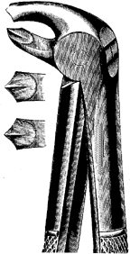 Tooth Extracting Forceps