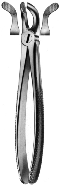 Tooth Extracting Forceps