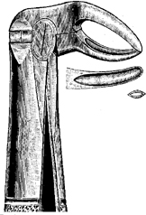 Tooth Extracting Forceps