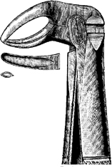 Tooth Extracting Forceps