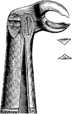 Tooth Extracting Forceps