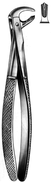 Tooth Extracting Forceps