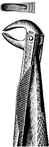 Tooth Extracting Forceps