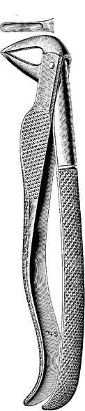 Tooth Extracting Forceps