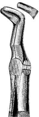Tooth Extracting Forceps