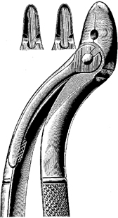 Tooth Extracting Forceps
