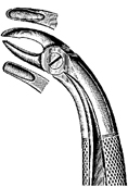 Tooth Extracting Forceps