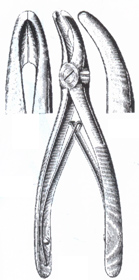 Bone Ronguers