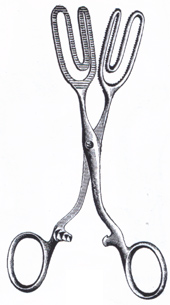 Tongue Seizing Forceps