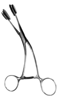 Tongue Seizing Forceps