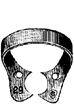 Harvard & Lvory Clamps