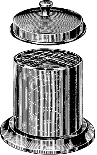 Trays & Containers