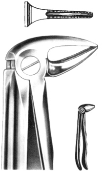 Tooth Extracting Forceps