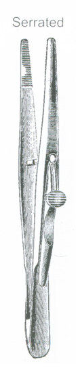 Dressing Forceps