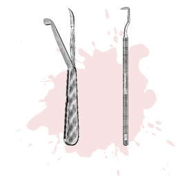 Bistoruris
