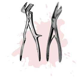 Plaster Shears